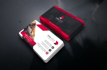 Car Line Business Card Template Screenshot 4