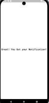 Push Notification Sample App - Flutter Firebase Screenshot 4